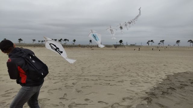 DSC_1310